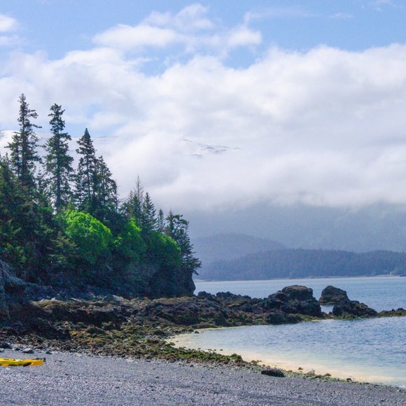 Hey from Across the Bay! ๐ - Picture 2 of 9